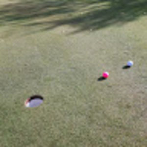 Meet your Posher, Colleen